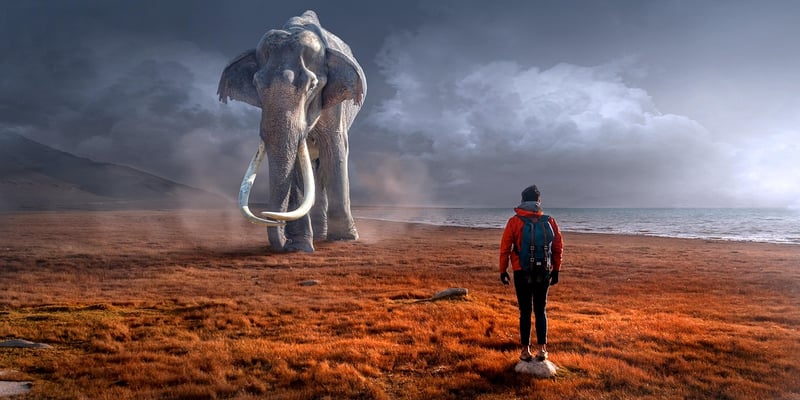 Alien Encounter